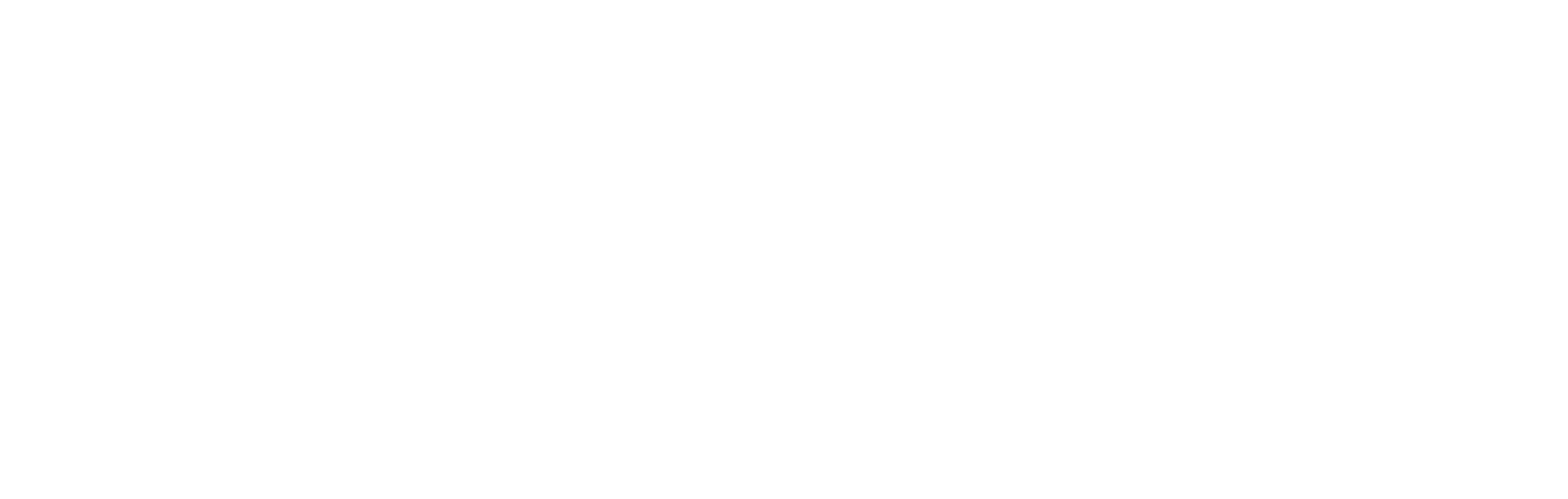 Shandaar Watches Logo